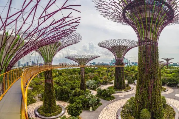 Beyond Concrete Jungles: How Urban Planners are Creating Bird Friendly Cities