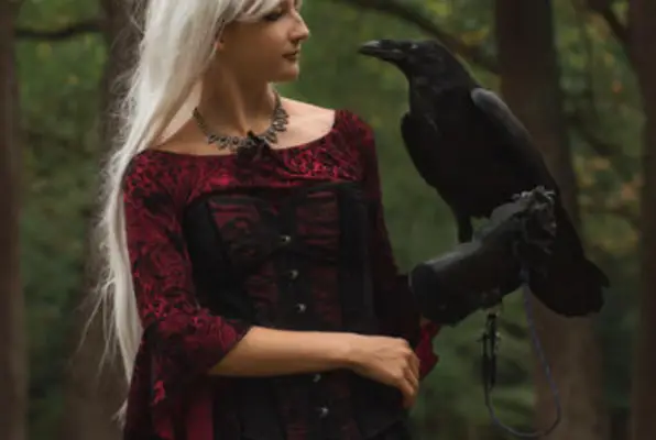 Can You Own a Pet Raven? A Detailed Guide to Raven Training