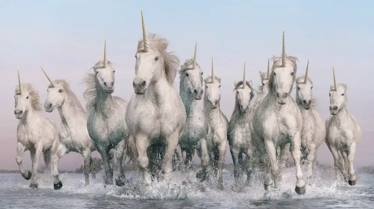 group of unicorns