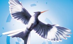 Is A Mockingjay A Real Bird? Debunking The Myth