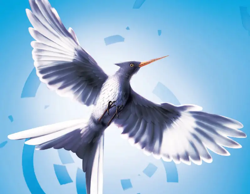 Is A Mockingjay A Real Bird