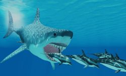 What Do Sharks Eat? 20 Foods They Love the Most